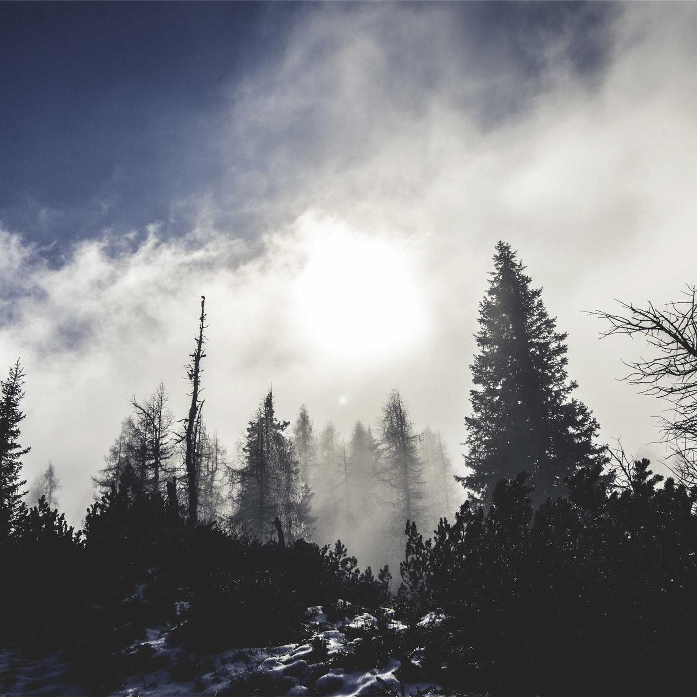Portfolio sample from Sam Brightwater